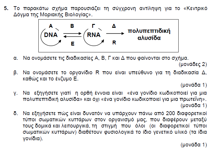 2013 ΜΕΡΟΣ Α ΑΣΚΗΣΗ 5