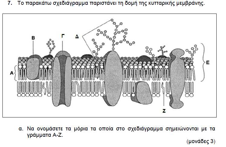 ΧΡΙΣΤΙΝΑ