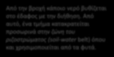 Από την βροχή κάποιο νερό βυθίζεται στο έδαφος με την διήθηση. Από αυτό, ένα τμήμα κατακρατείται προσωρινά στην ζώνη του ριζοστρώματος (soil-water belt) όπου και χρησιμοποιείται από τα φυτά.