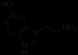 Β-καρβολίνη: τρικυκλική αρωματική αμίνη (πυριδίνη + ινδόλιο) σεροτονίνη Τα παράγωγα β-καρβολίνης (αρμάνη, αρμόλη, αρμίνη, αρμαλόλη, αρμαλίνη) είναι υπευθυνα για την ψυχοτρόπο δράση της δρόγης