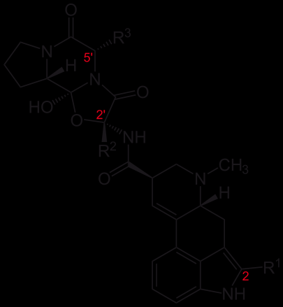 ame R 1 R 2 R 3 Ergotamine CH3 benzyl Ergocristine Ergocornine Ergocryptine CH(CH3)2 benzyl CH(CH3)2 CH(CH3)2 CH(CH3)2 CH2CH(CH3)2 Bromocriptine Br CH(CH3)2 CH2CH(CH3)2 Ergovaline CH3 CH(CH3)2