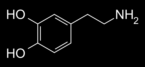 νοραδρεναλίνη=norepinephrine σεροτονίνη ντοπαμίνη Η φαρμακολογική δράση των αλκαλοειδών της