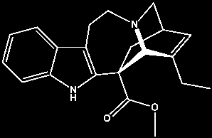 catharanthine βινβλαστίνη και βινκριστίνη είναι αντιμιτωτικά, συνδέονται με την