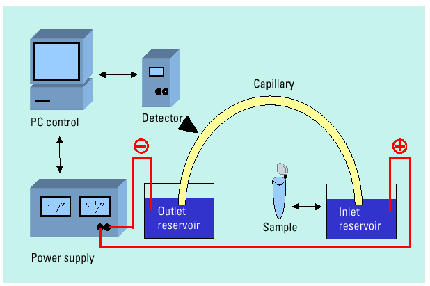 Basic Instrument Layout 1999