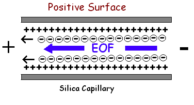 Electroosmotic Flow In the case of a positive surface the layer of ions in contact with the surface