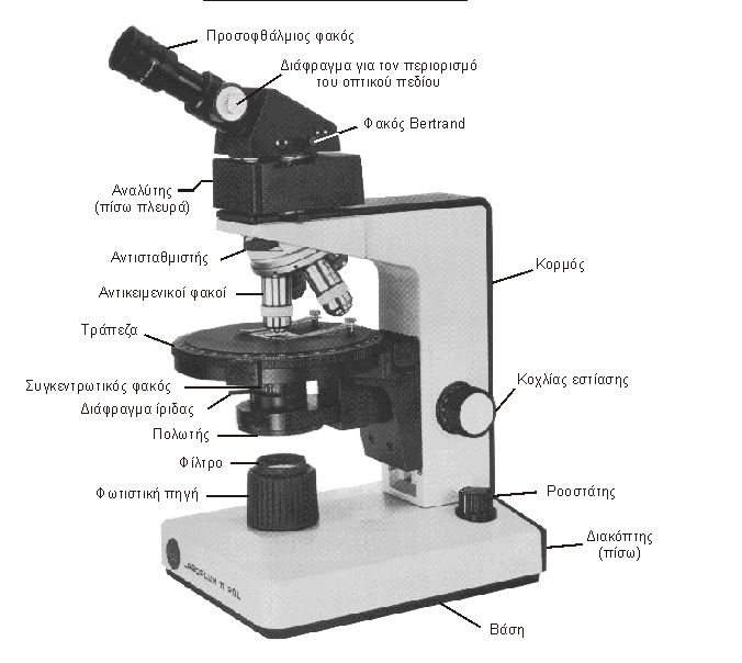 3.5 Οπτικό Μικροσκόπιο (Polarizing Microscope) Το πολωτικό ή πετρογραφικό μικροσκόπιο διαφέρει από τα κοινά μικροσκόπια διότι έχει μία στρεφόμενη τράπεζα και δύο πολωτικά φίλτρα, τον πολωτή και τον