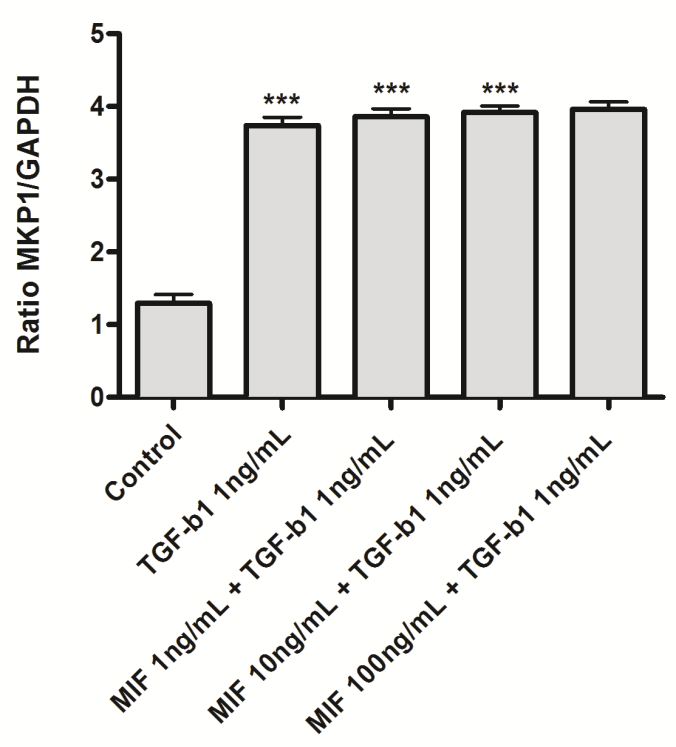 Αποτελέσματα MKP-1 (431bp) GAPDH (263bp) *** Σχήμα 9.