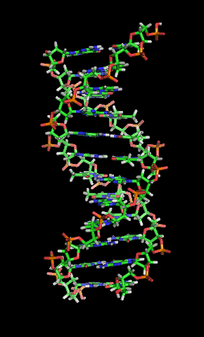 Περιεχόμενα DNA computing DNA Βασικές έννοιες Ιστορική Αναδρομή Περιορισμοί της συμβατικής τεχνολογίας Βασικές έννοιες Δομή Το