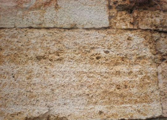 Ακτίτης Λίθος (Μαργαικός ασβεστόλιθος) Πλειστοκαινικός απολιθωματοφόρος μαργαικός ασβεστόλιθος Λατομεία στην ακτή του Πειραιά και τη βόρεια Αίγινα.