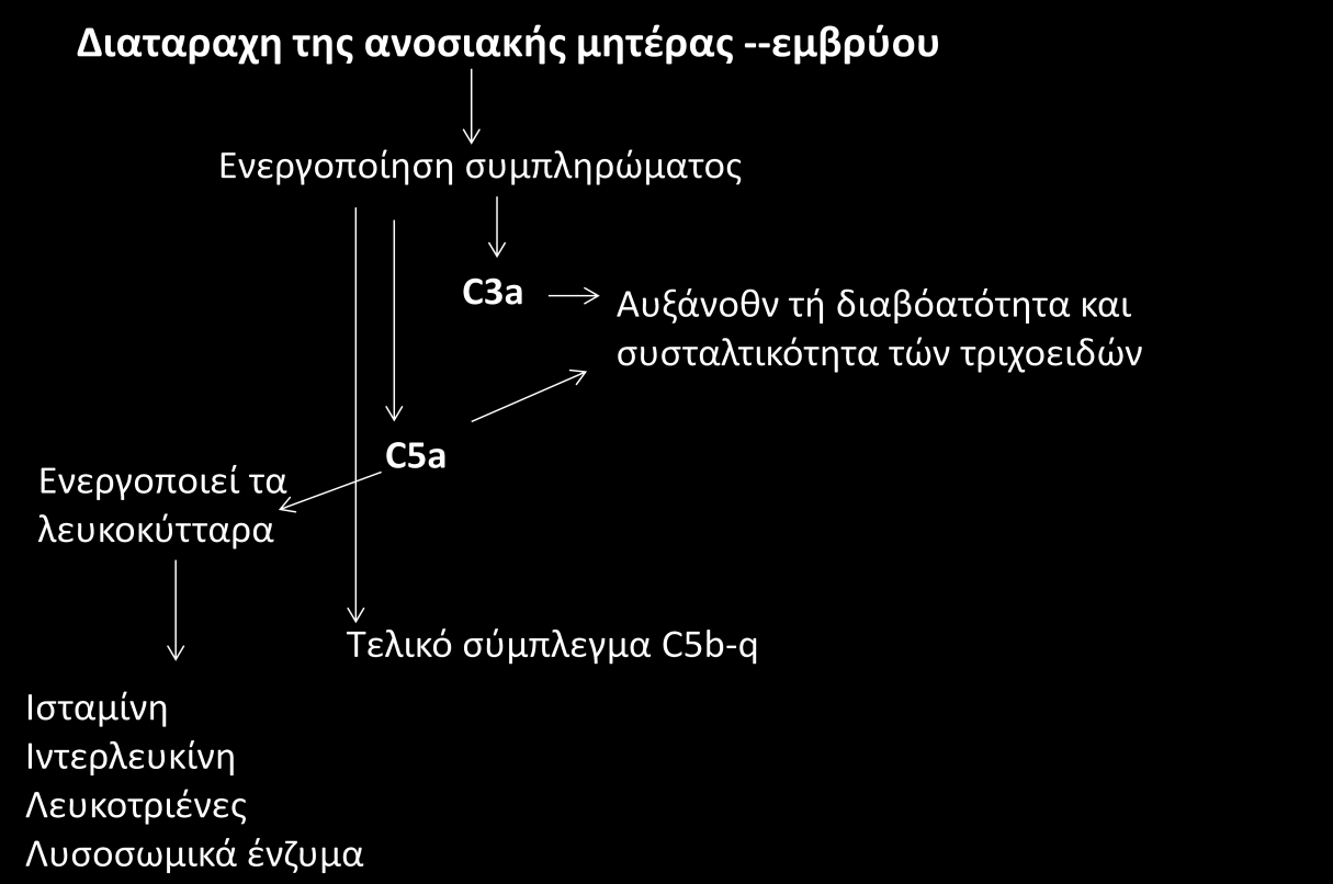 απελευθέρωσή ισταμίνης, ιντερλευκίνης, λευκοτριενών και λυσοσωμικων ένζυμων (Διάγραμμα 2). Διάγραμμα 2 Επιπτώσεις της ανοσιακής ανοχής μητέρας εμβρύου.