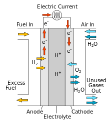 1.1.2 Αρχή λειτουργίας των κυψελίδων καυσίμου Η λειτουργία των κυψελίδων καυσίμου βασίζεται στις ηλεκτροχημικές αντιδράσεις και στην συνεπαγόμενη από αυτές μεταφορά φορτίου.
