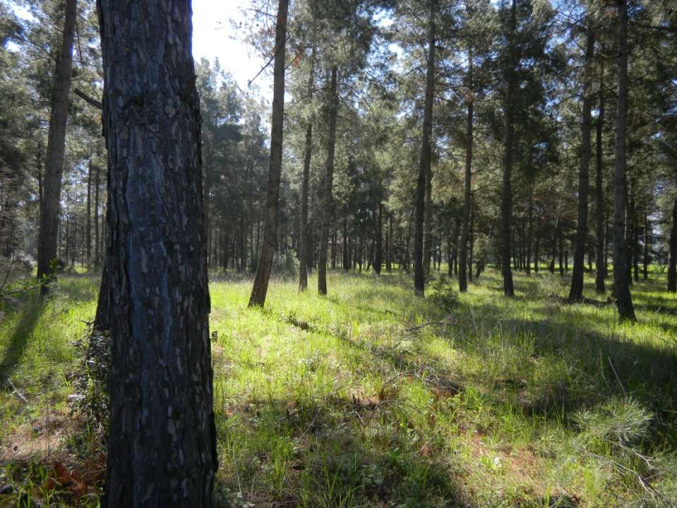 Έτη Ανώροφος Ύψος (μ.) Διάμετρος (εκ.) 2x2μ. 3x3μ. 4x4μ.