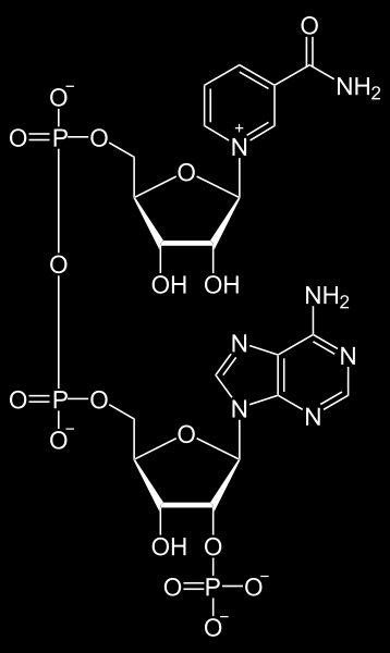 B 3 (νιασίνη ή