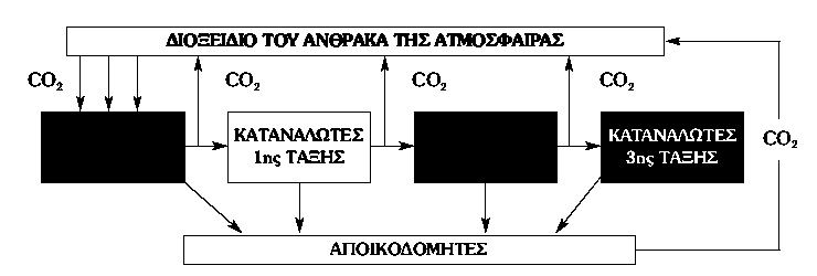83 Βιολογία Γενικής Παιδείας Γ Λυκείου-Χ.Κ.Φιρφιρής 2.3.Βιογεωχημικοί κύκλοι Εισαγωγή στους βιογεωχημικούς κύκλους. Α. Σας δίνεται ένα απλό σχεδιάγραμμα των βιογεωχημικών κύκλων : Οργανισμοί-(1)