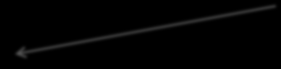 διαιρέσεις (ωαγωγός) single-layered blastoderm