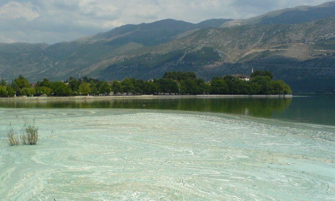 Πανεπιστήμιο Ιωαννίνων Τμήμα Βιολογικών Εφαρμογών και Τεχνολογιών Οι κυανοτοξίνες στη Λίμνη