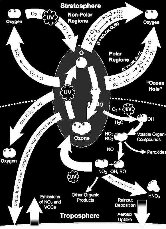 Το Ο 3 στη στρατόσφαιρα είναι επιθυμητό γιατί προσταυεύει από την UV ακτινοβολία Το Ο 3 στην τροπόσφαιρα δεν