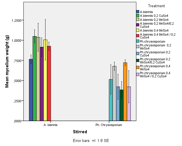 Διάγραμμα 3.2.2.2.: Η παραγωγή μυκηλίου σε g Phanerochaete chrysosporium σε αναδευόμενες φιάλες (αριστερά) και μη αναδευόμενες φιάλες (δεξιά).