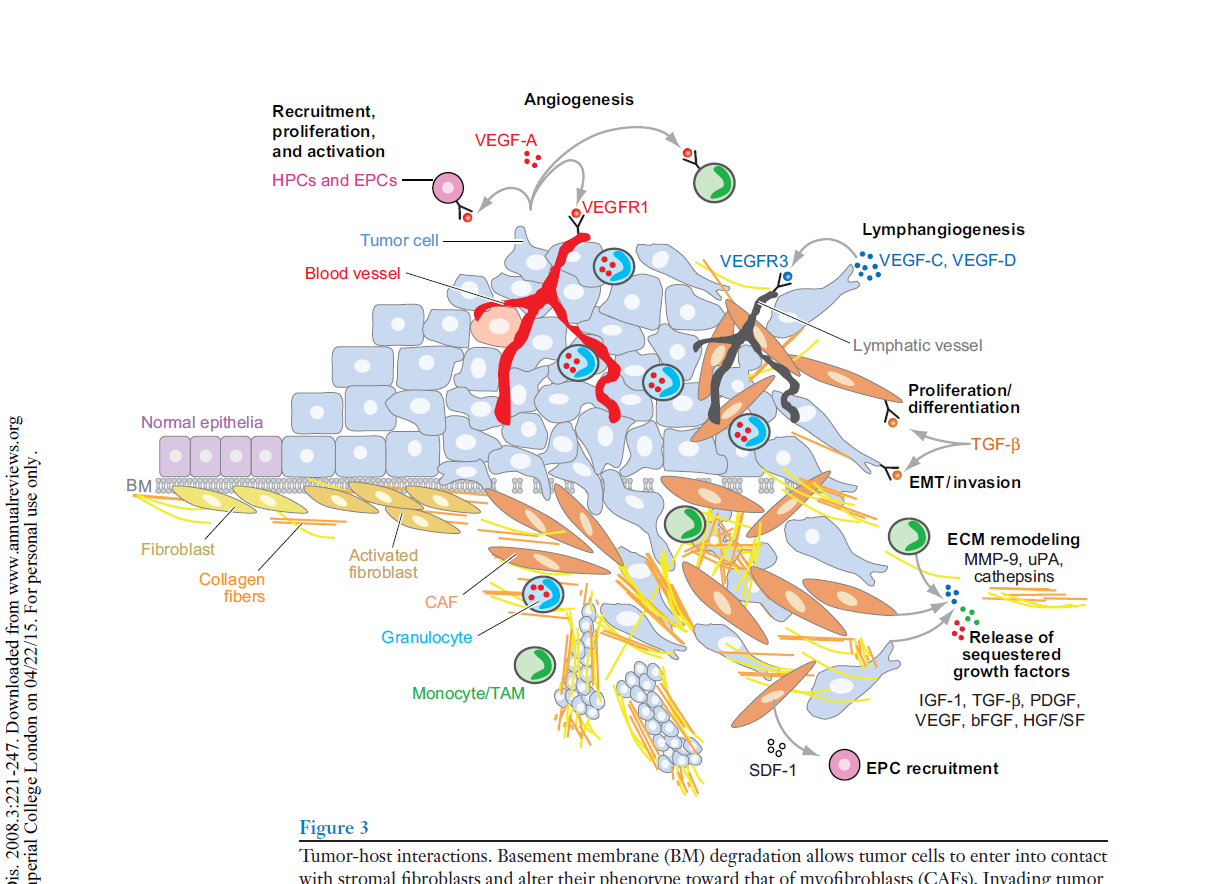 Tumor-host