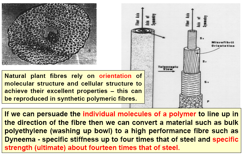 Πως προκύπτουν δυνατές ίνες Οι φυσικές ίνες βασίζονται σε προσανατολισμό της μοριακής και κυτταρικής δομής τους με στόχο την επίτευξη βέλτιστων ιδιοτήτων αυτό προσπαθούμε να επιτύχουμε και με τις