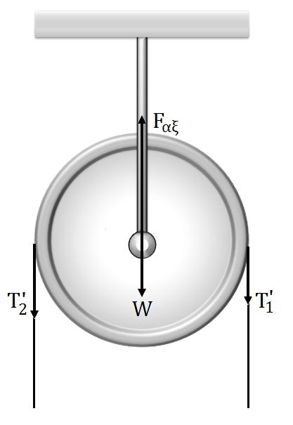 Εφόσον τα νήματα δένονται στην ίδια περιφέρεια της τροχαλίας και δεν ολισθαίνουν πάνω σε αυτή κάθε χρονική στιγμή θα ισχύει: α 1 α 2 α α γων R Τα νήματα επίσης είναι αβαρή και μη εκτατά επομένως