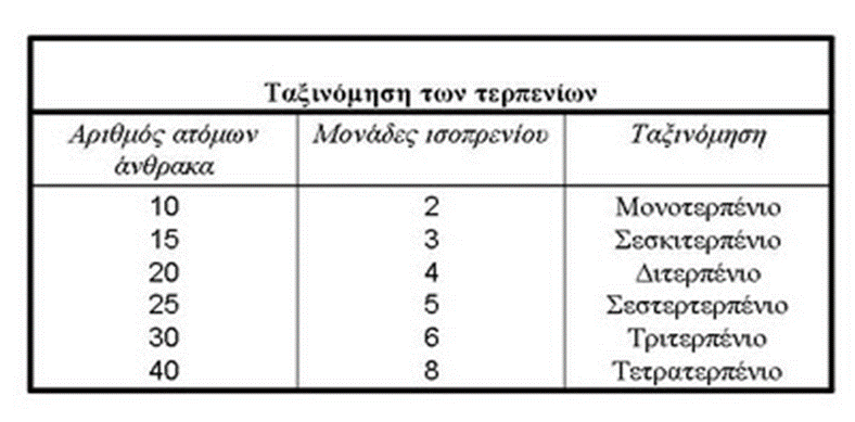 Η ταξινόμησή τους γίνεται ανάλογα με τον αριθμό των μονάδων που περιέχουν στο μόριο τους, όπως φαίνεται στον πίνακα 2.