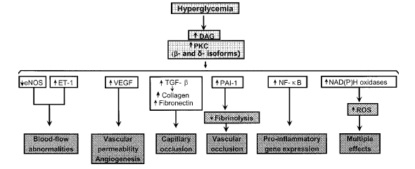 65 ζώων (Engerman & Kern 1993, Robison et al. 1995) και δεν έδωσε αποτελέσματα κατά τη διενέργεια κλινικών μελετών στον άνθρωπο (Sorbinil Retinopathy Trial Research Group 1990).