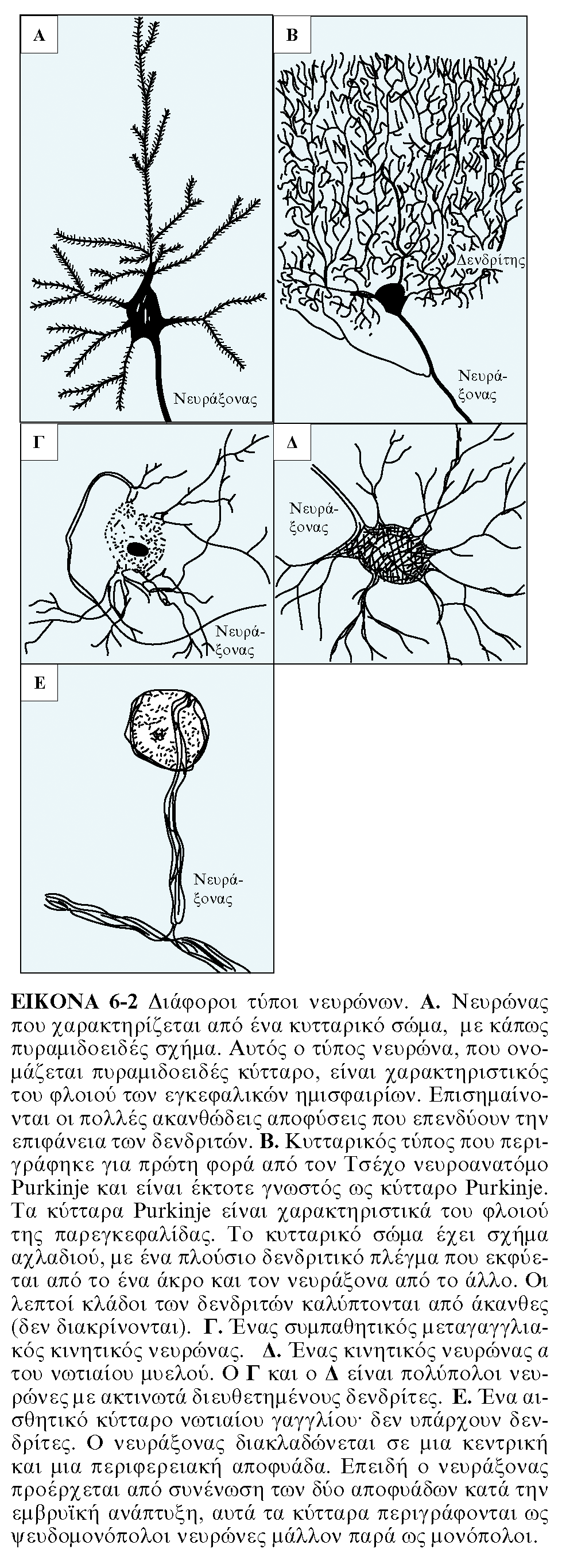 APXEΣ ΦYΣIOΛOΓIAΣ, TOMOΣ I