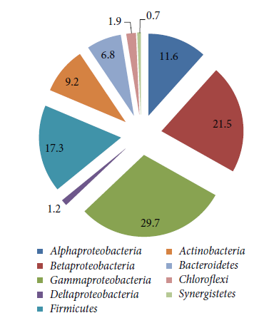 Gammaproteobacteria, ελψ κε είδε ησλ Firmicutes, Alphaproteobacteria, Actinobacteria, θαη Bacteroidetes ηαπηίδνληαη πεξίπνπ ην 17, 12, 9 θαη 7% ησλ αιιεινπρηψλ, αληηζηνίρσο (Δηθφλα 2.1.).