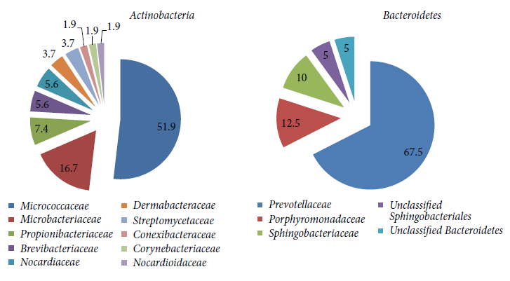 Δηλόλα 2.3. Καηαλνκή κέζα ζηα Alphaproteobacteria θαη Firmicutes βαθηεξηαθψλ θχισλ ηαπηνπνηεκέλσλ ζε πγξά απφβιεηα ειαηνπξγείσλ (Ntougias et al., 2013).