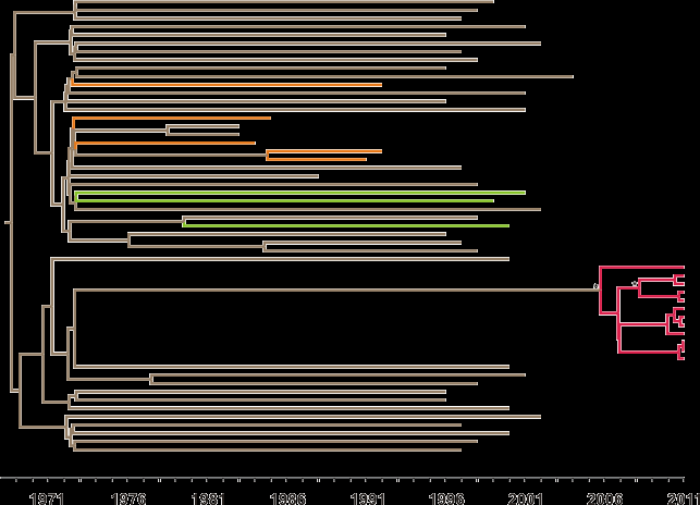 Dating of subtype B Paraskevis D Greek origin