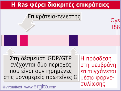 5 22 30 40 109 120 Δηθόλα 28.