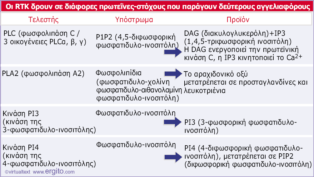 Δηθόλα 28.