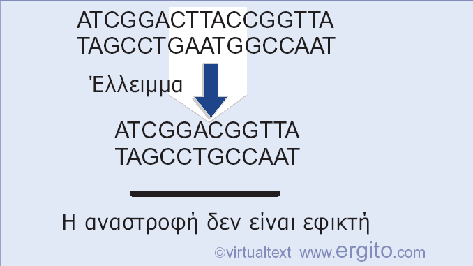 Πρόσθιες και ανάστροφες μεταλλάξεις Οι σημειακές μεταλλάξεις και οι προσθήκες μπορεί να