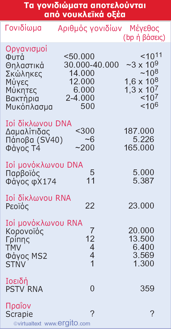 Εικόνα 1.