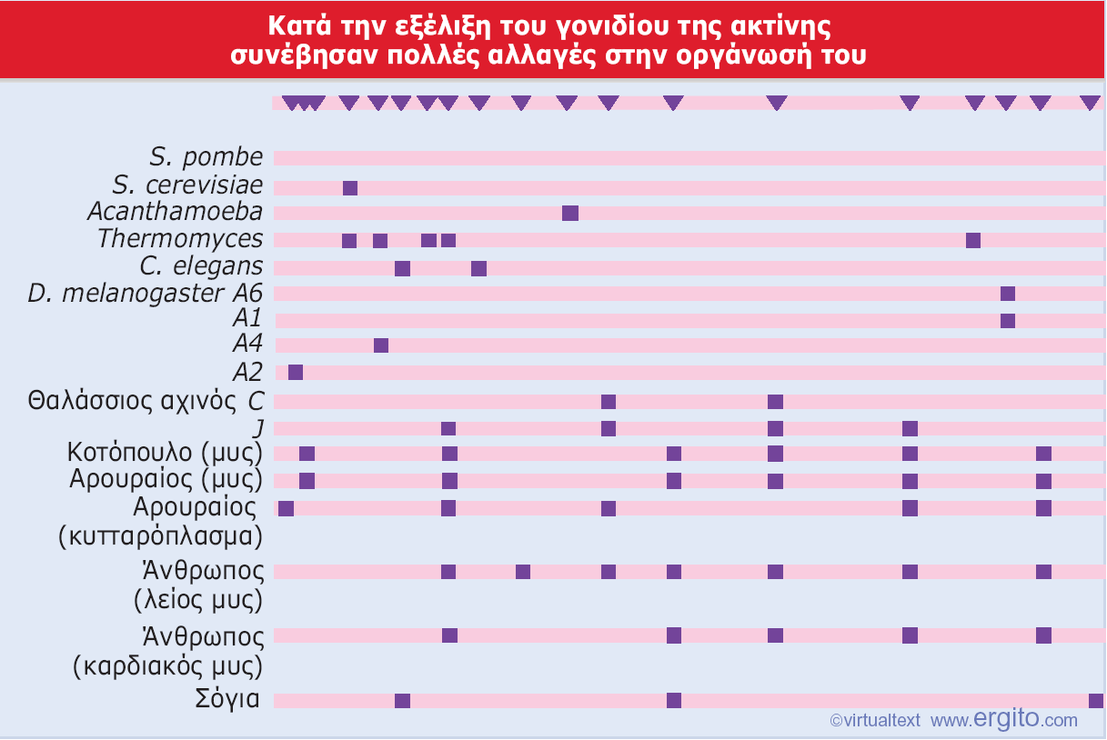 Εικόνα 2.