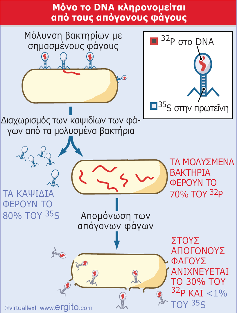 Εικόνα 1.