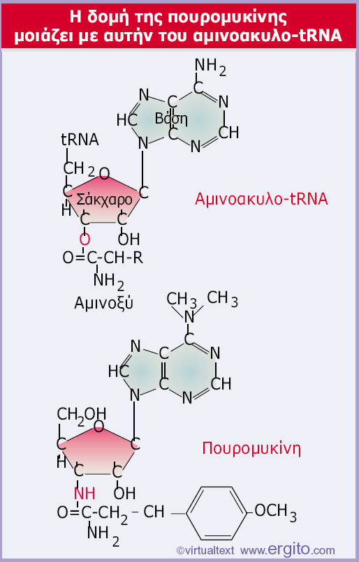 Εικόνα 6.