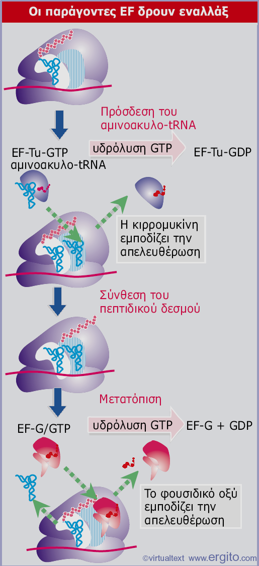 Εικόνα 6.