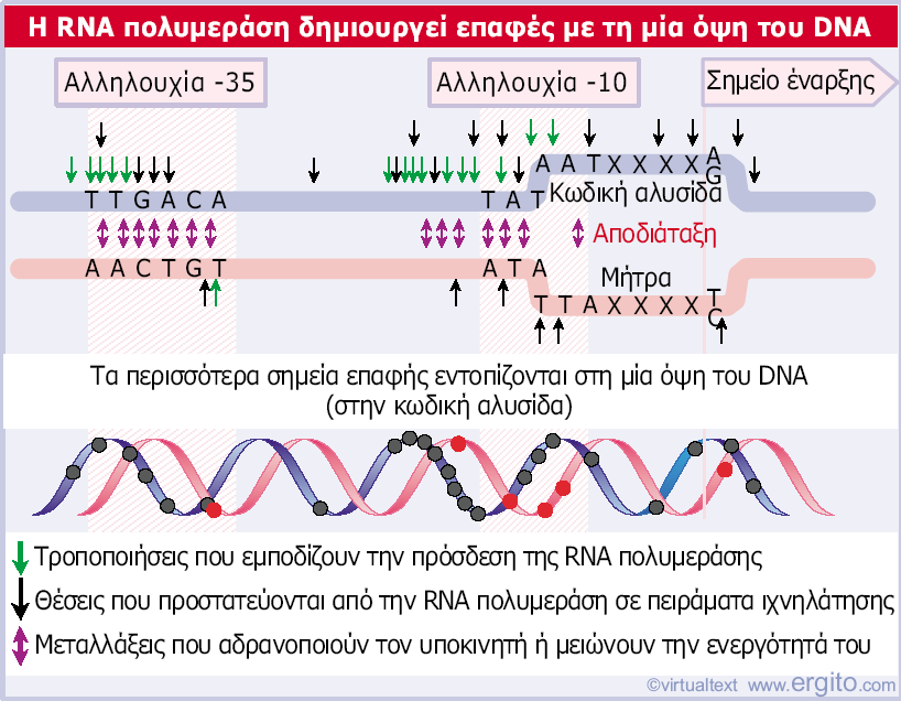 K M Θέσεις