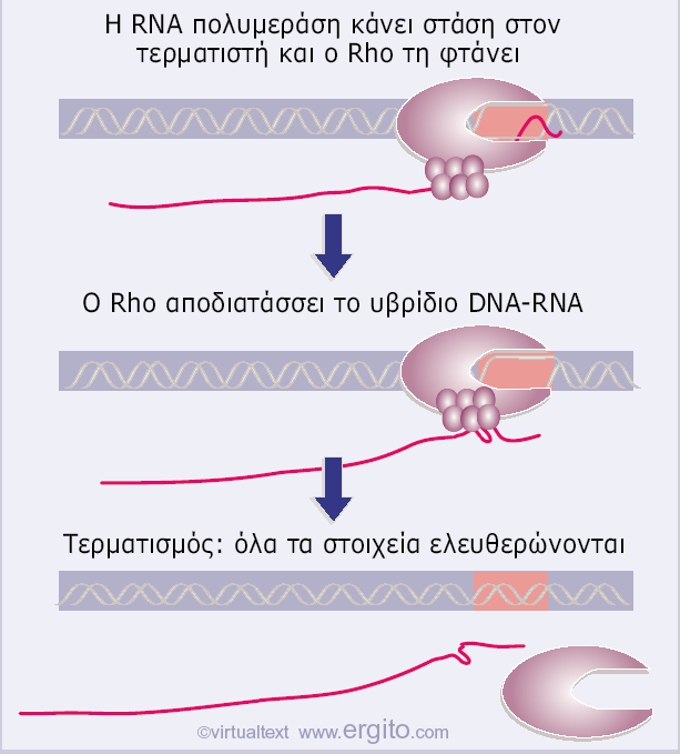 Εικόνα 9.