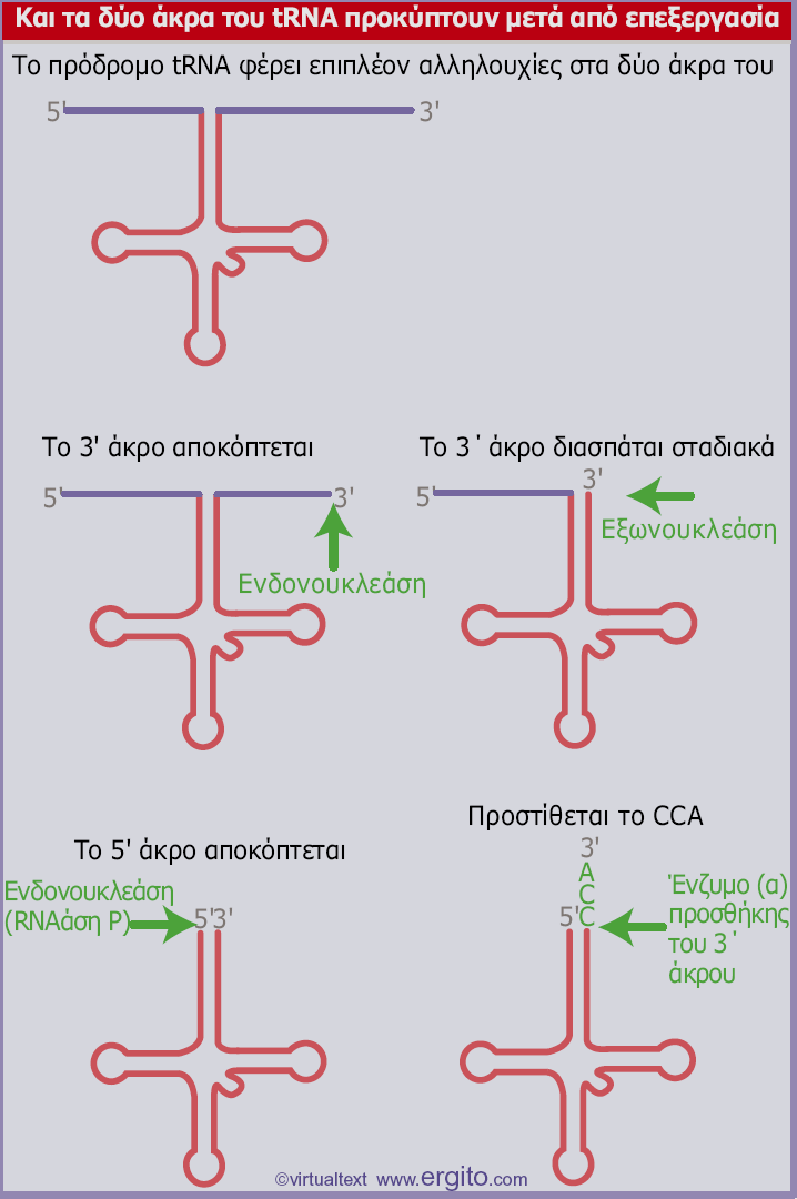 Εικόνα 7.