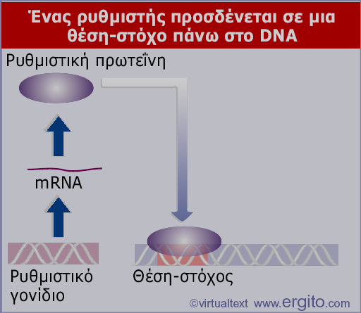 Εικόνα 10.