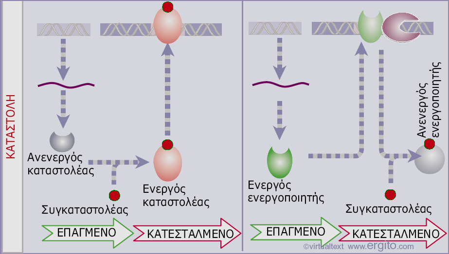 Εικόνα 11.