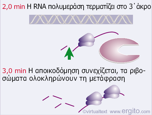 Εικόνα 5.