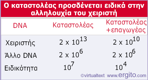 Και τα 10 μόρια του καταστολέα είναι προσδεμένα στο DNA Εικόνα 10.