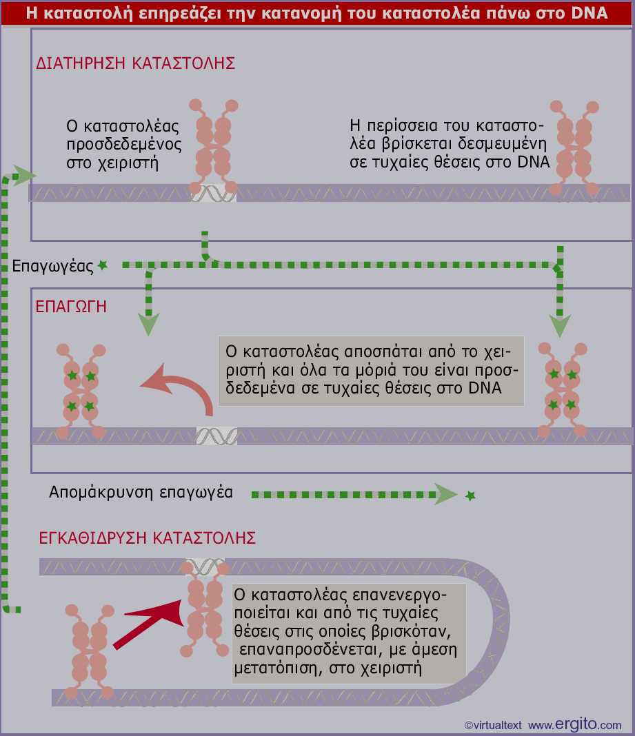 96% Βασικά επίπεδα Εικόνα 10.