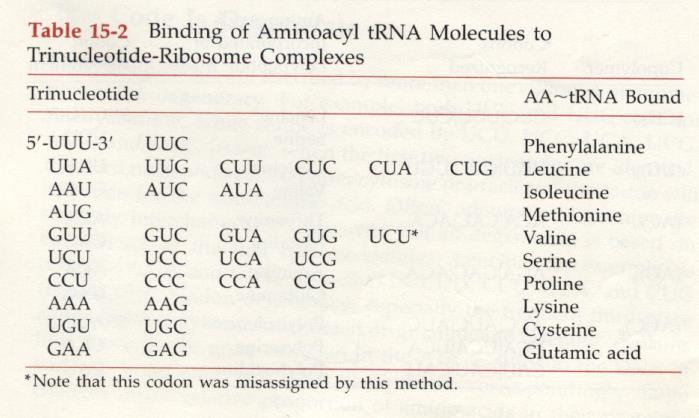 Rib + 3Nt + (trna + συνθετάσες +