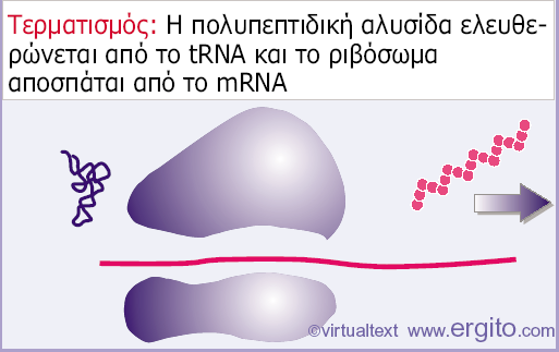 Εικόνα 6.