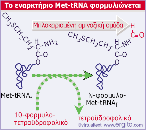 Εικόνα 6.